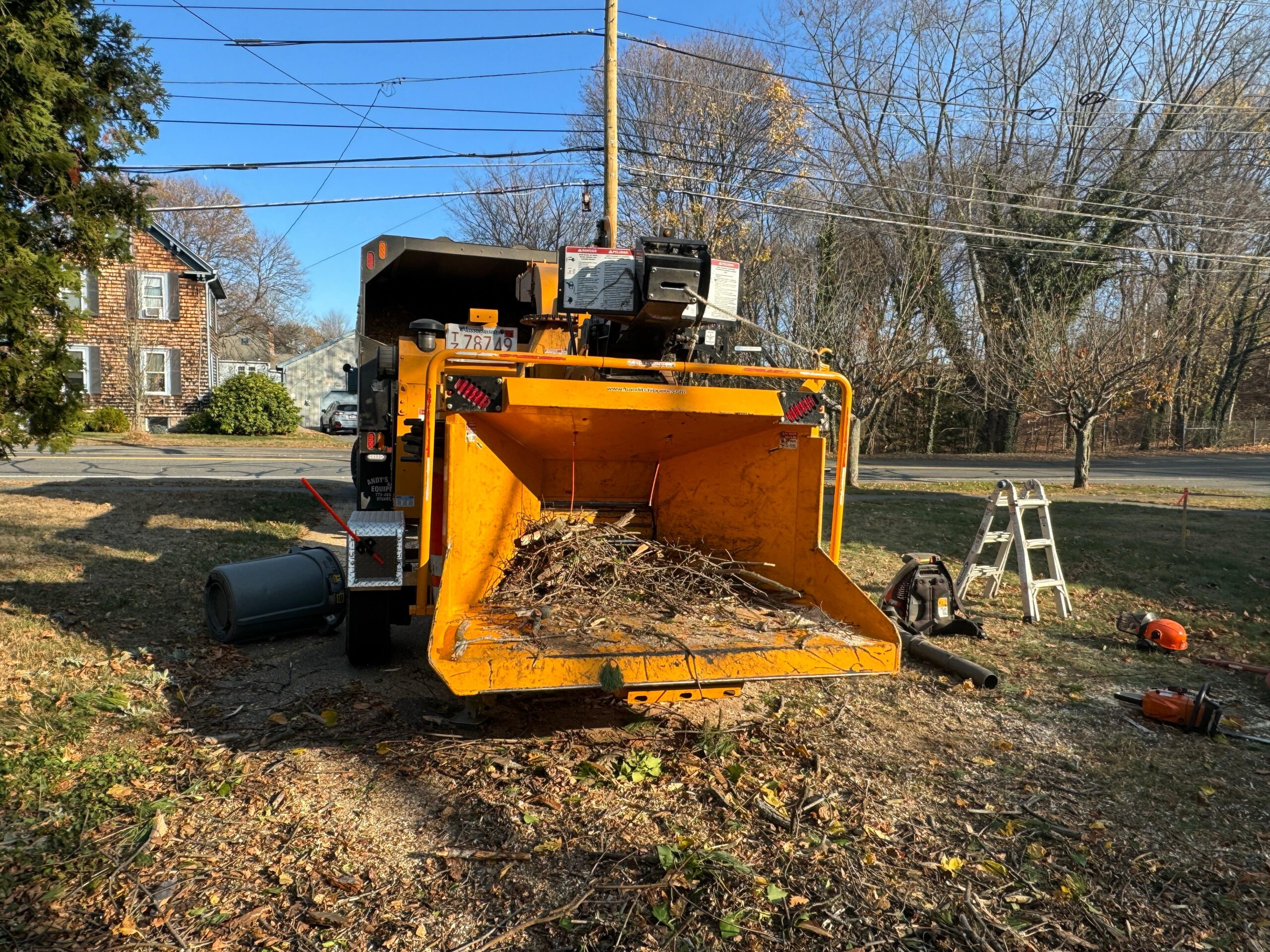 Affordable Stump Grinding