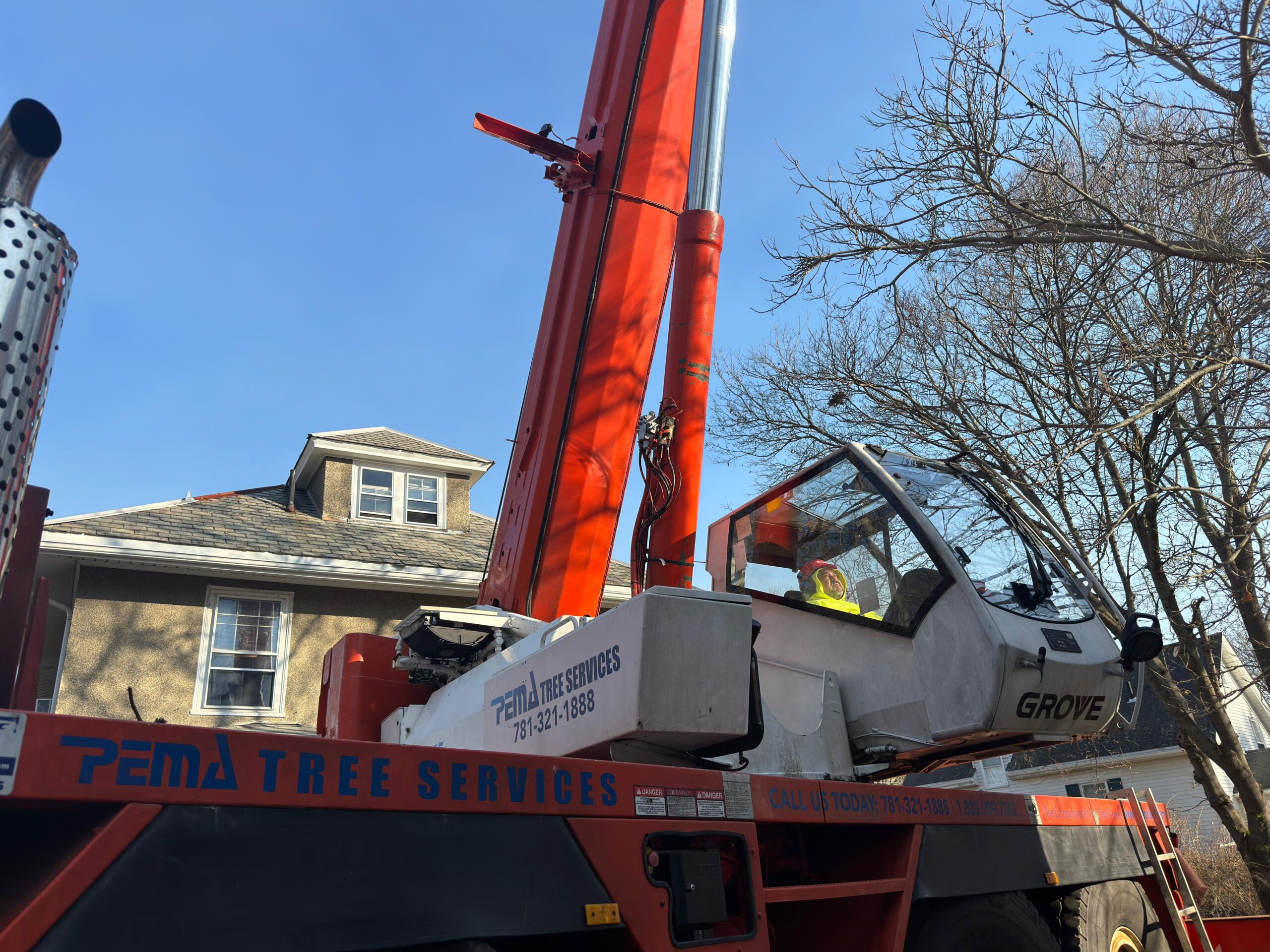 Tree Removal Services