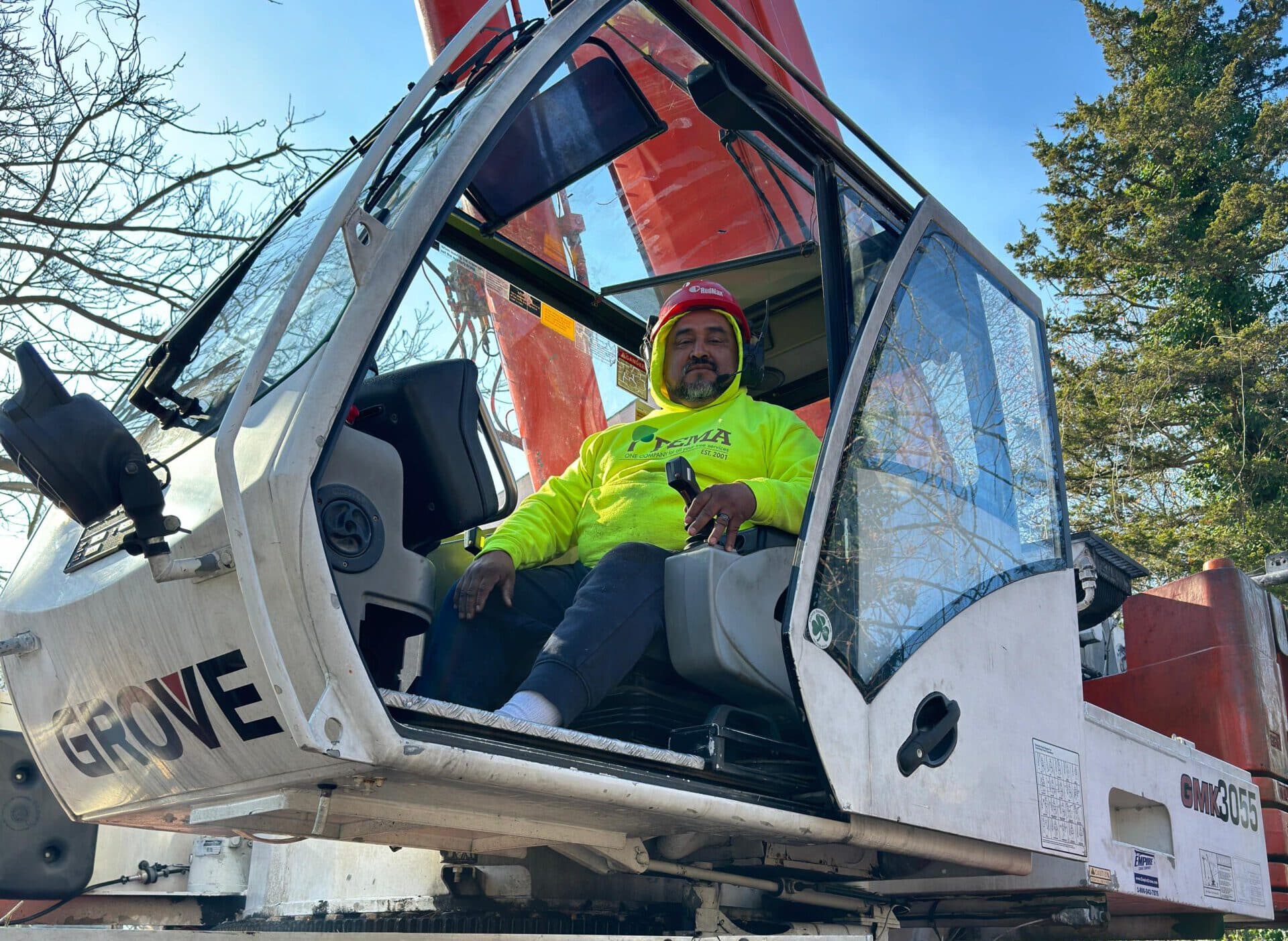 Tree Removal Services